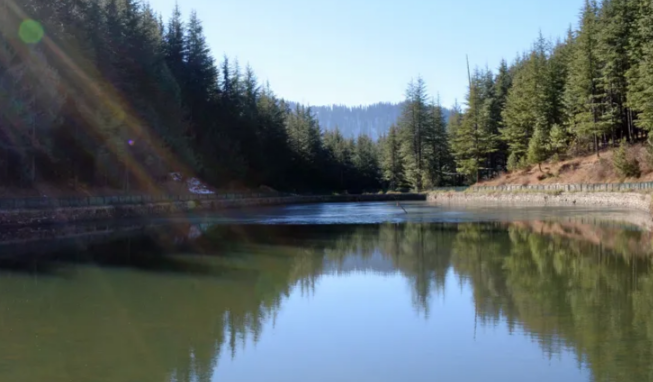 Tanni Jubbar Lake - Narkanda Image