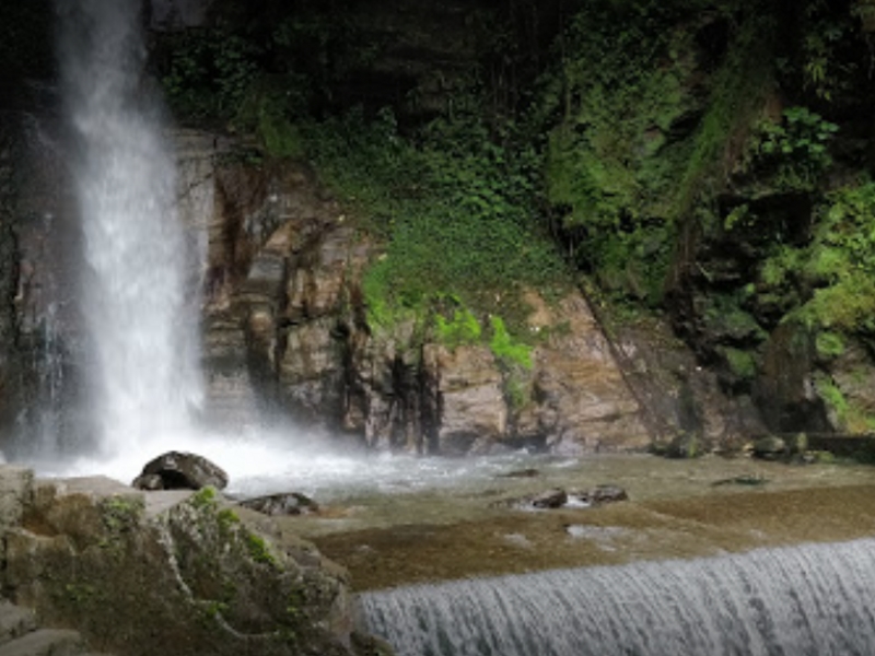 Banjhakri Falls - Gangtok Image