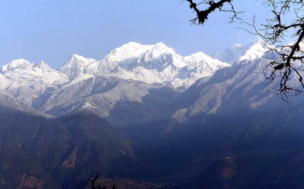 Yangtey - West Sikkim Image