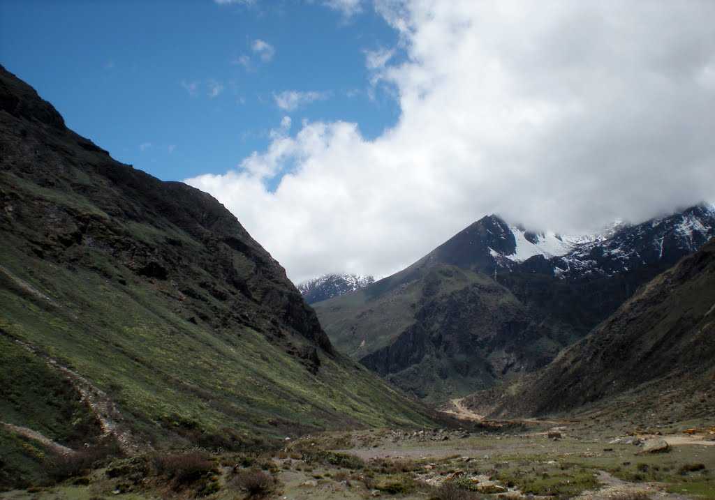 Thangu Valley - North Sikkim Image