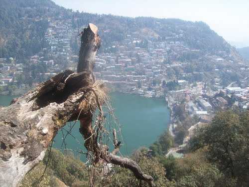 Tiffin Top (Dorothy's Seat) - Nainital Image