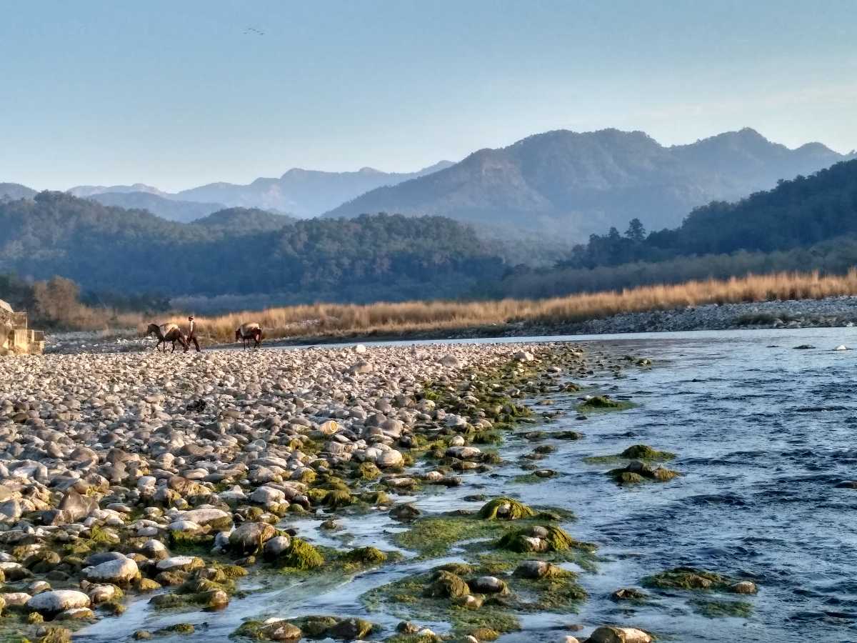 Kosi River - Corbett Image