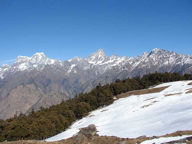 Gurso Bugyal - Auli Image