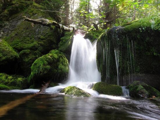 Mossy Falls - Mussoorie Image