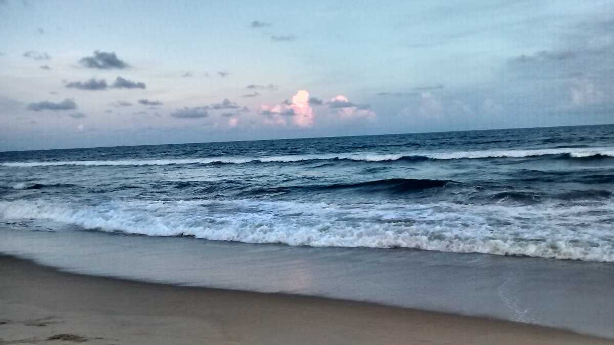 Elliot's Beach - Chennai Image