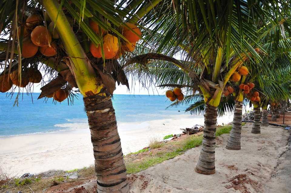 Sothavilai Beach - Kanyakumari Image