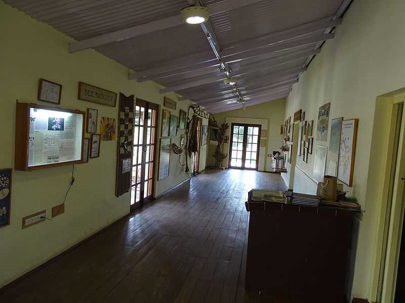 Honey & Bee Museum - Ooty Image