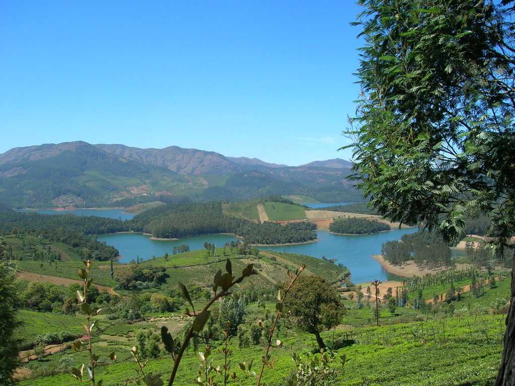 Emerald Lake - Ooty Image