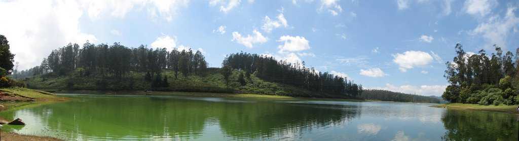 Kamraj Sagar Lake - Ooty Image