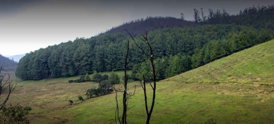 Upper Bhavani Lake - Ooty Image