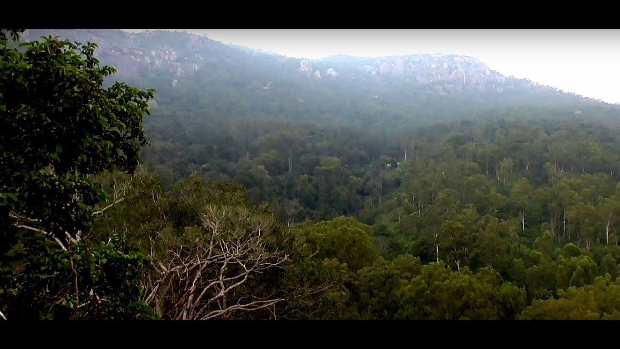 Bison Valley - Ooty Image