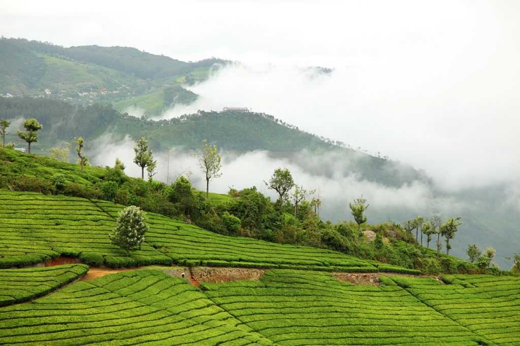 Hidden Valley - Coonoor Image