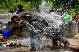 May Day Park - Chennai Image