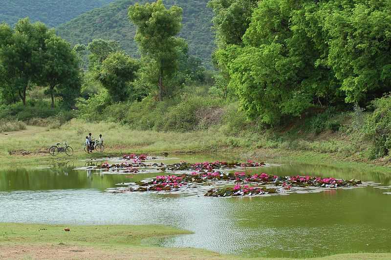 Nilgiri Biosphere Nature Park - Coimbatore Image