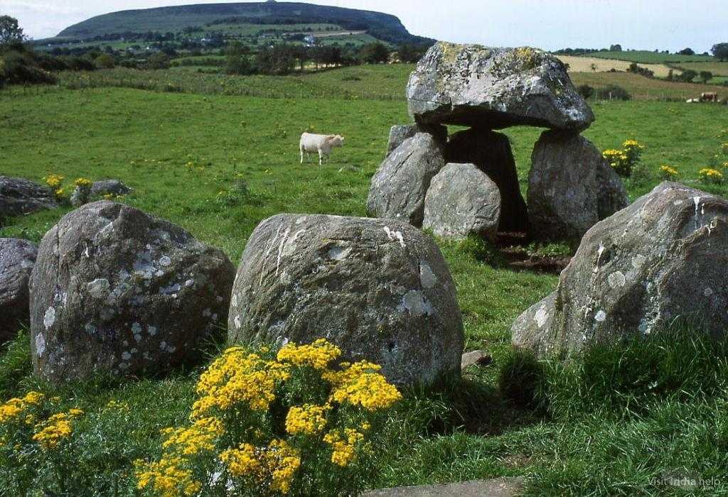 Dolmen Circle - Kodaikanal Image