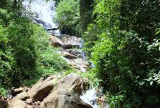 Law's Falls - Coonoor Image