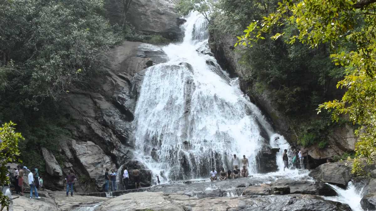 Monkey Falls - Coimbatore Image