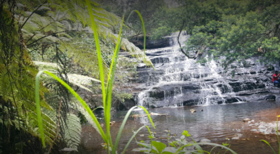 Vattakanal Falls - Kodaikanal Image