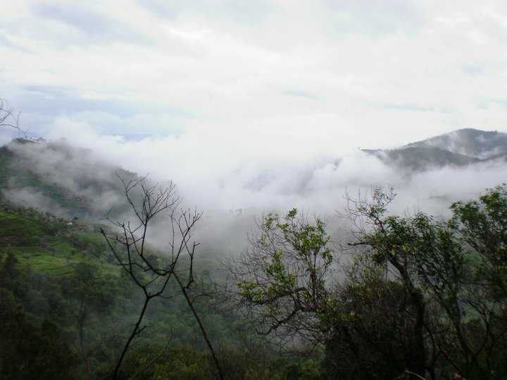 Katari Falls - Ooty Image