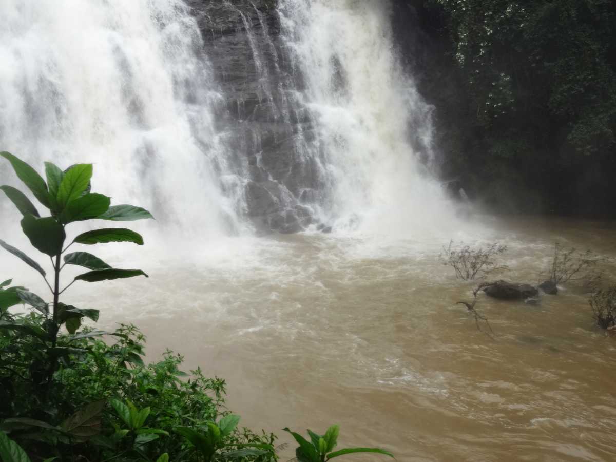 Halashana Falls - Ooty Image