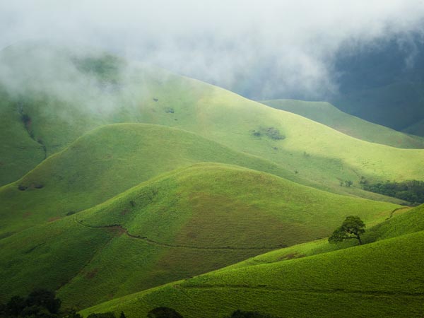 Kudremukh National Park - Chikmagalur Image