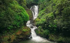 Dabbe Falls - Honnemaradu Image