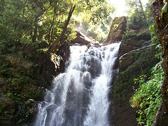 Hanuman Gundi Falls - Kudremukh Image