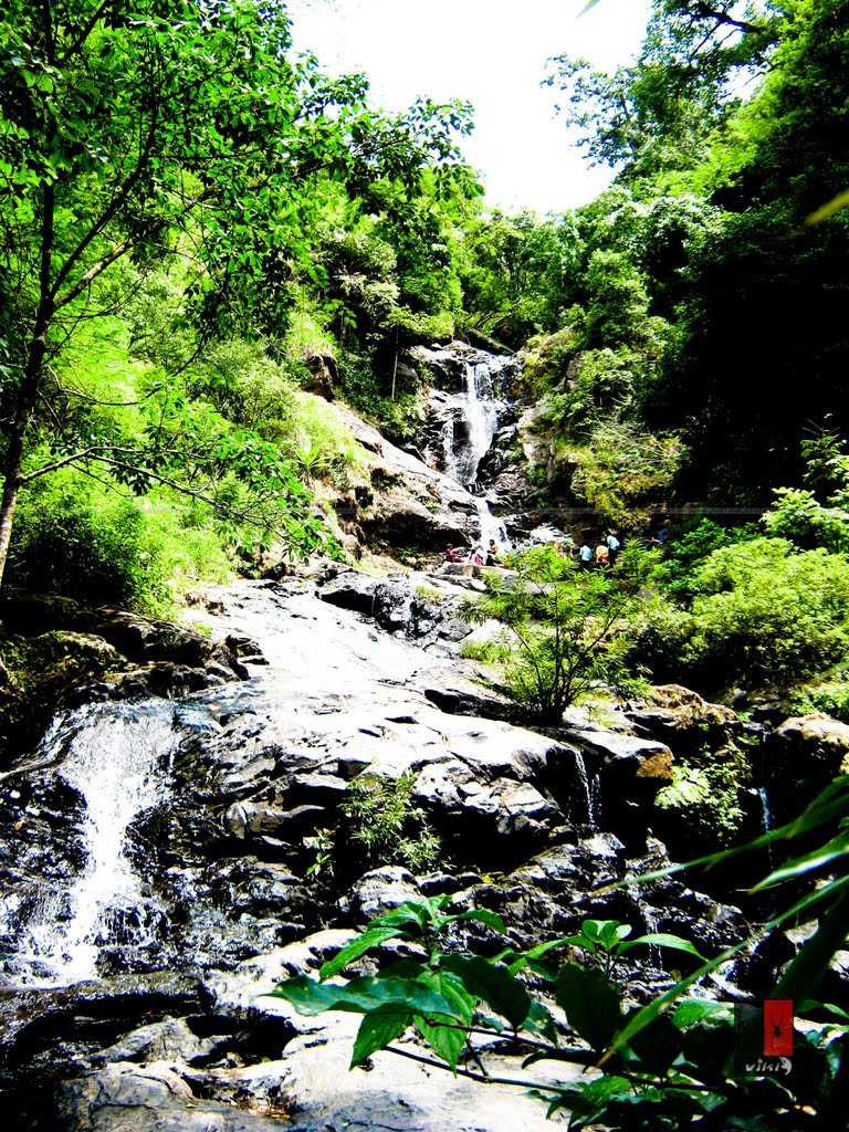 Iruppu Falls - Nagarhole Image