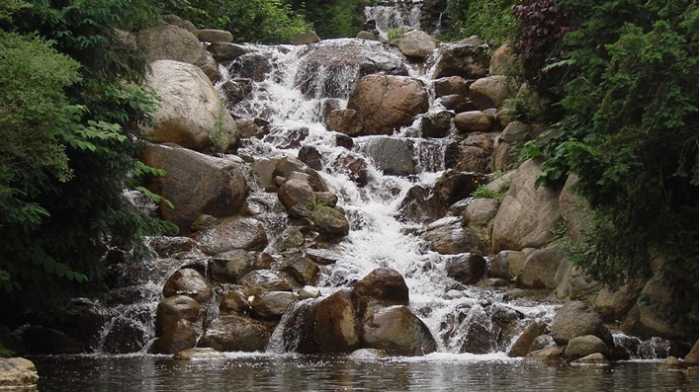 Kunchikal Falls - Shimoga Image