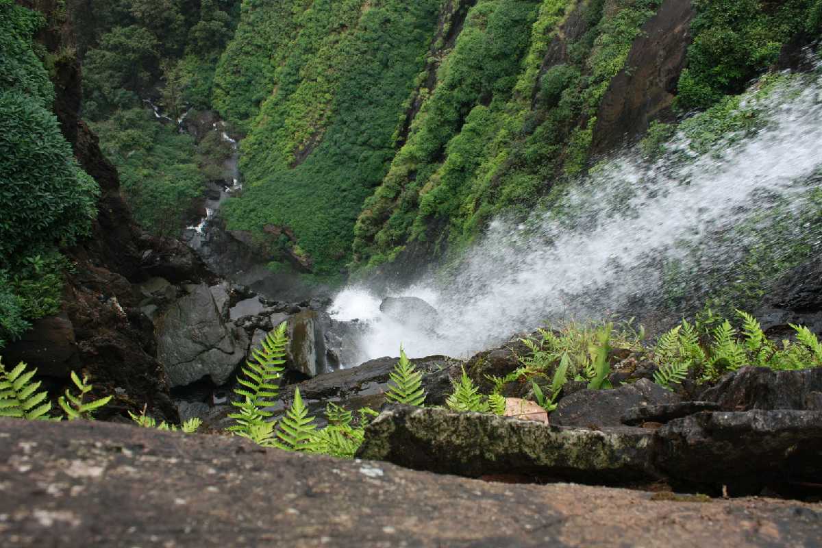 Onake Abbi Falls - Shimoga Image