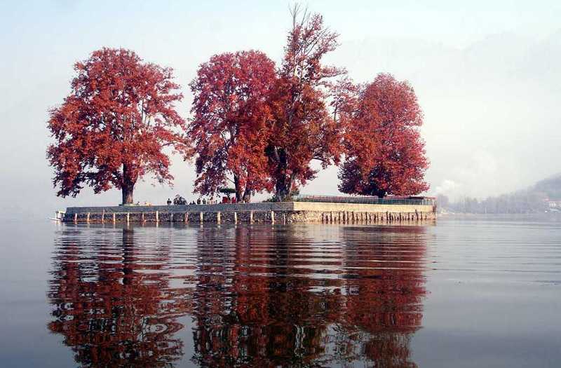 Char Chinar - Srinagar Image