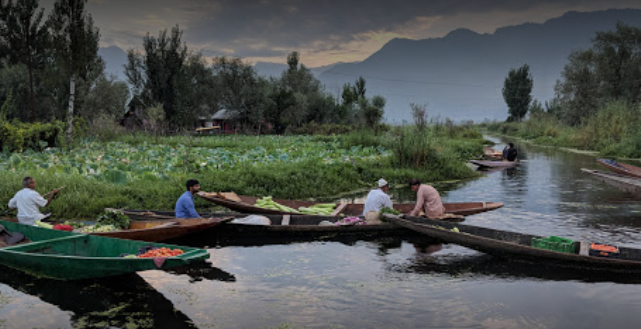 Floating Vegetable Market - Srinagar Image