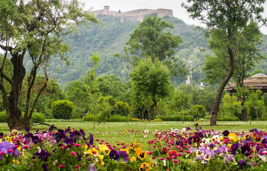 Hari Parbat - Srinagar Image