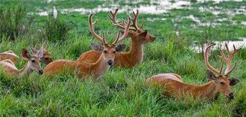 Kishtwar National Park - Anantnag Image