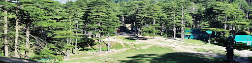 Nature Walks In Patnitop - Patnitop Image