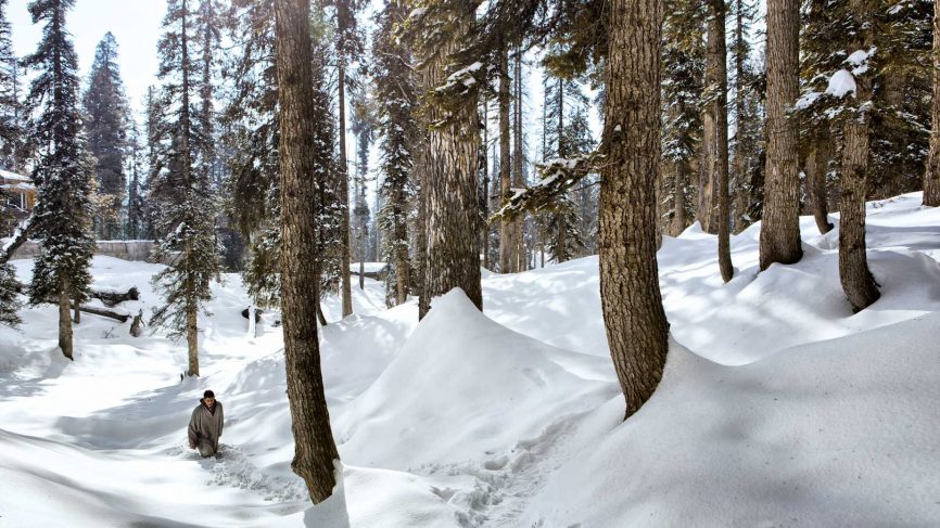 Ningli Nalla - Gulmarg Image