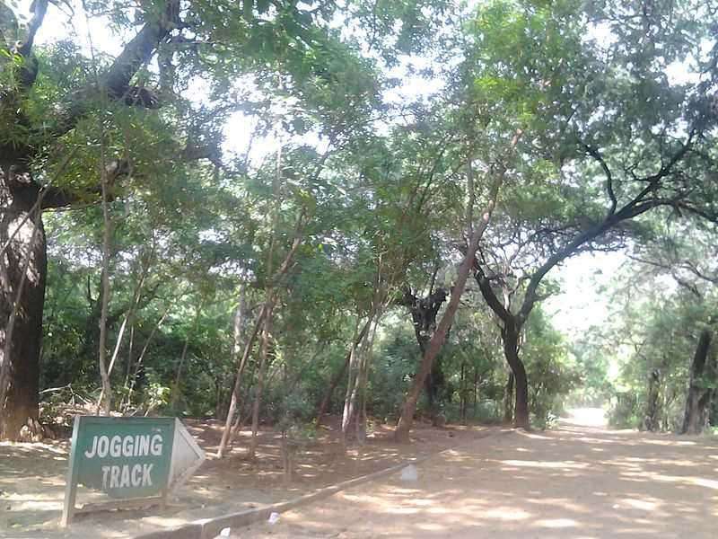 Jahanpanah City Forest - Delhi Image