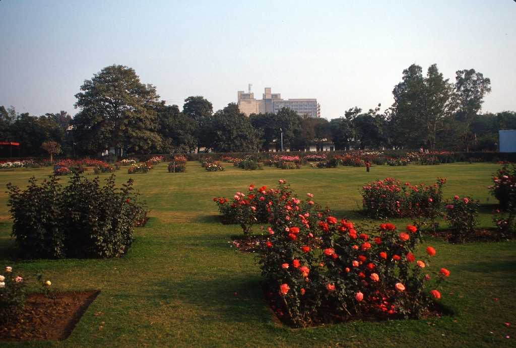 National Rose Garden - Delhi Image