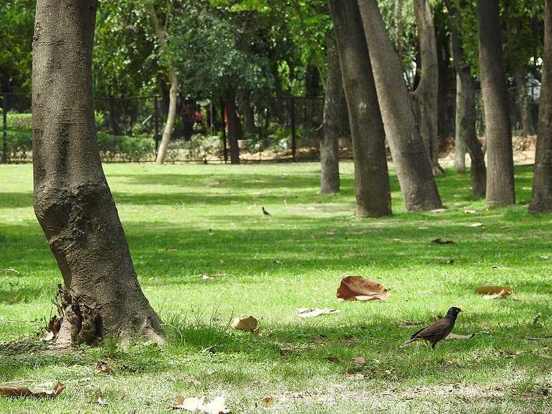 Deer Park- Delhi Image