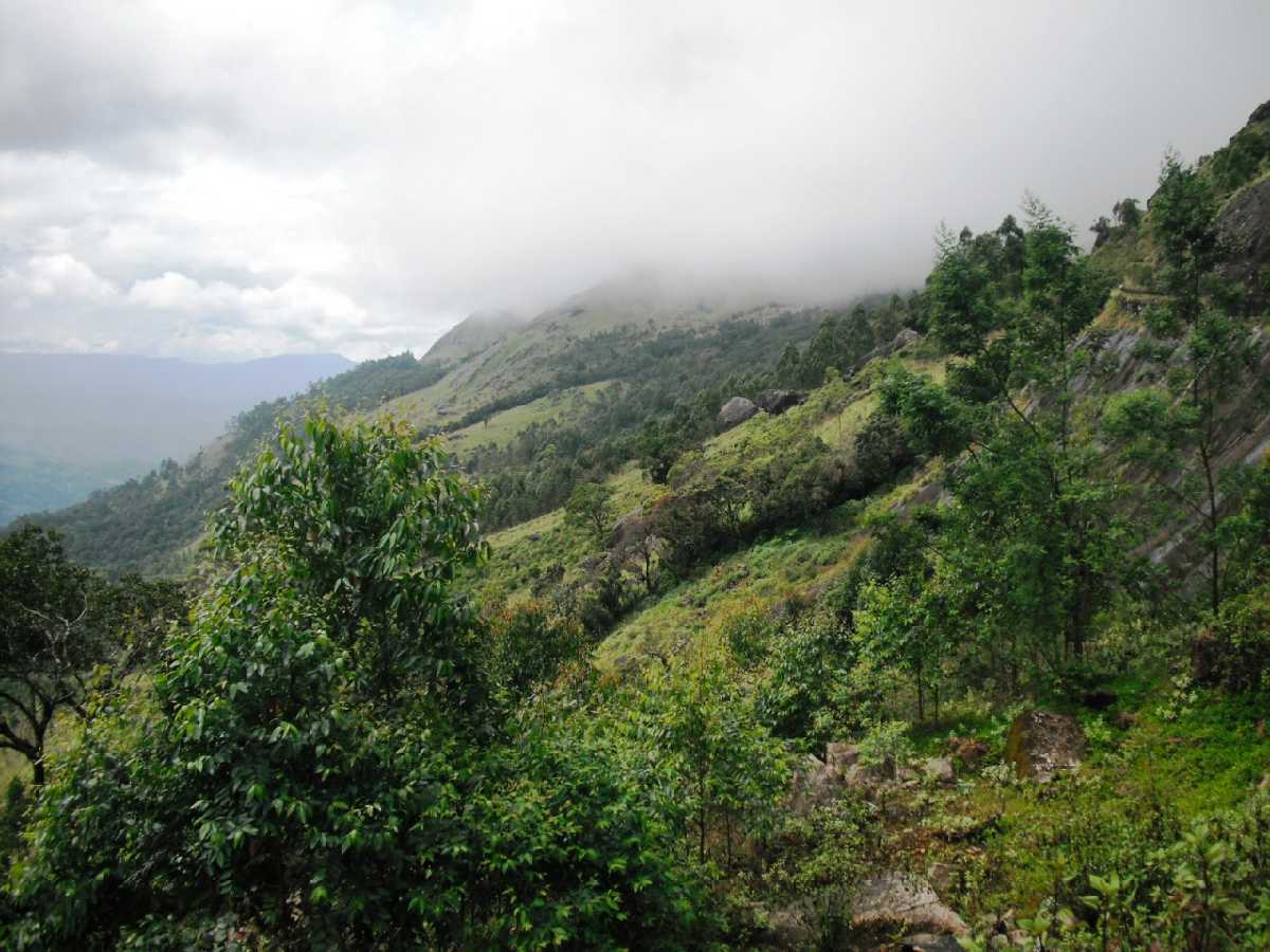 Lock Heart Gap - Munnar Image