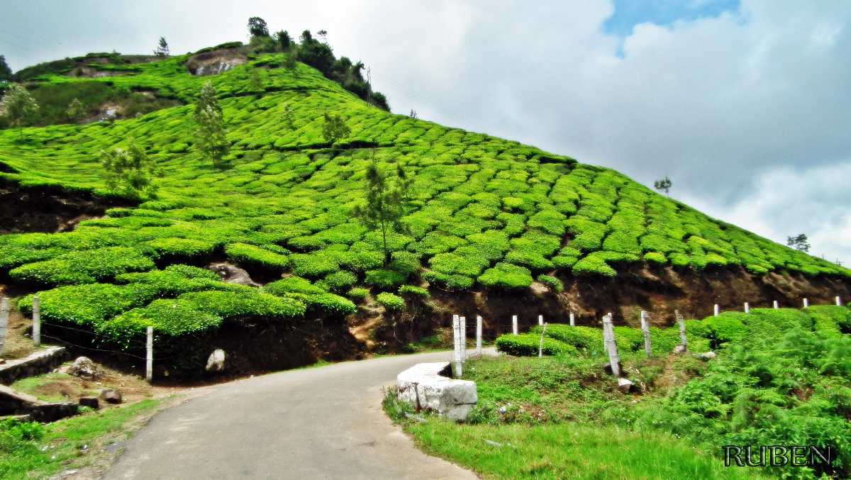 Photo Point - Munnar Image