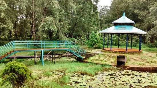 Blossom Park - Munnar Image