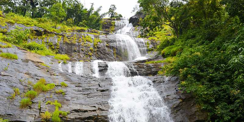 Cheeyappara Waterfalls - Munnar Image