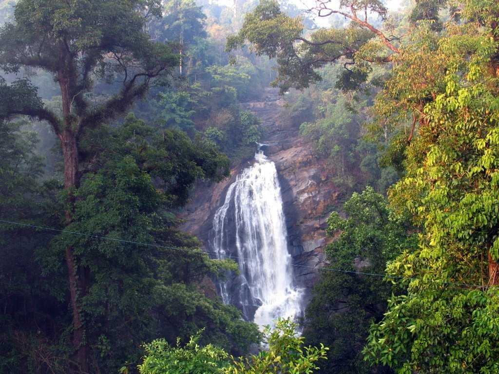 Valara Falls - Munnar Image