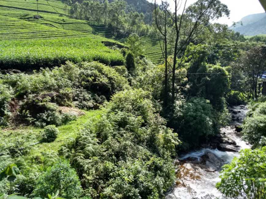 Nyayamakad Waterfalls - Munnar Image