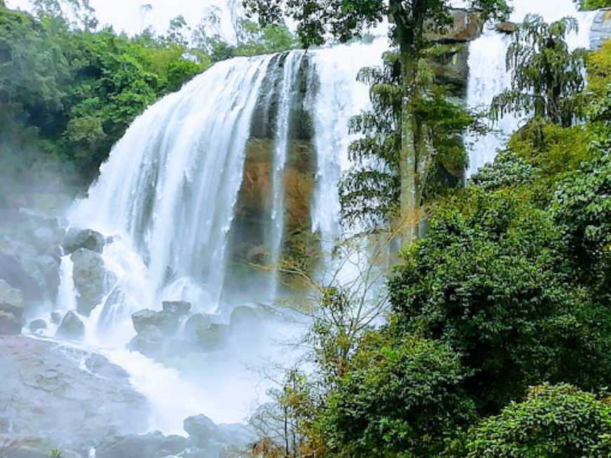 Kuthumkal Waterfalls - Munnar Image