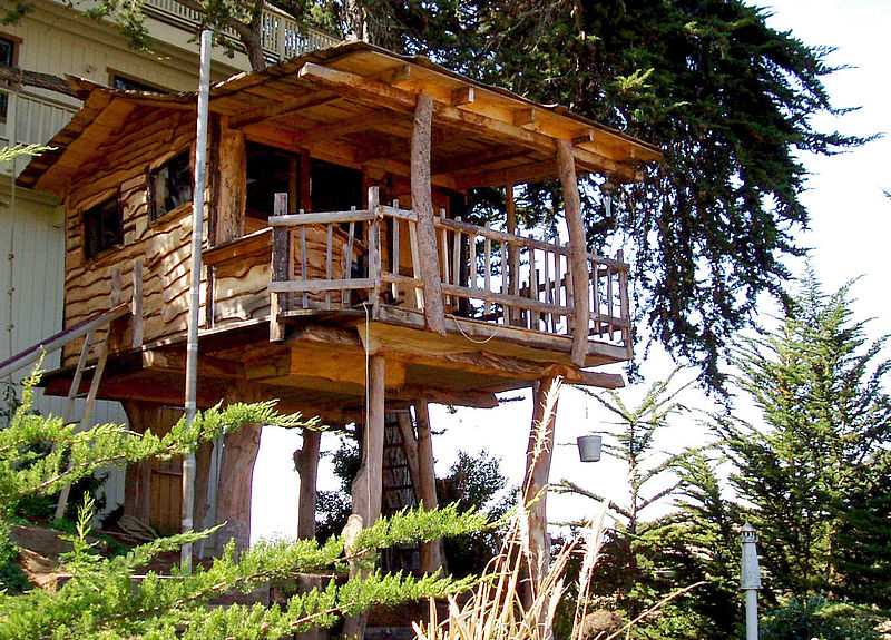 Tree Houses in Munnar - Munnar Image