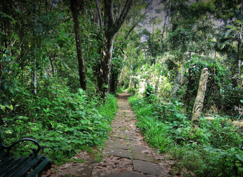 Kumarakom Bird Sanctuary - Allepey Image