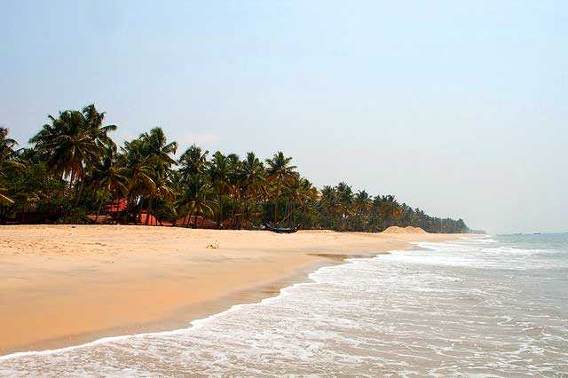 Punnapra Beach - Allepey Image