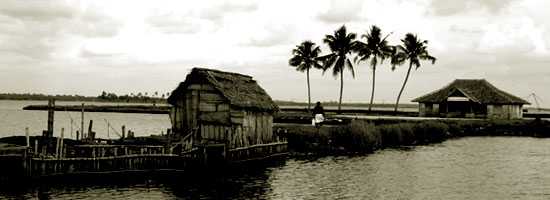 Veeranpuzha lake and Backwaters - Kochi Image